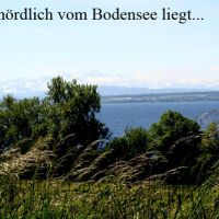 1 DSC06305 Bodensee.jpg